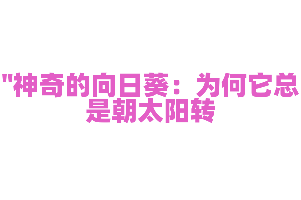 "神奇的向日葵：为何它总是朝太阳转？"